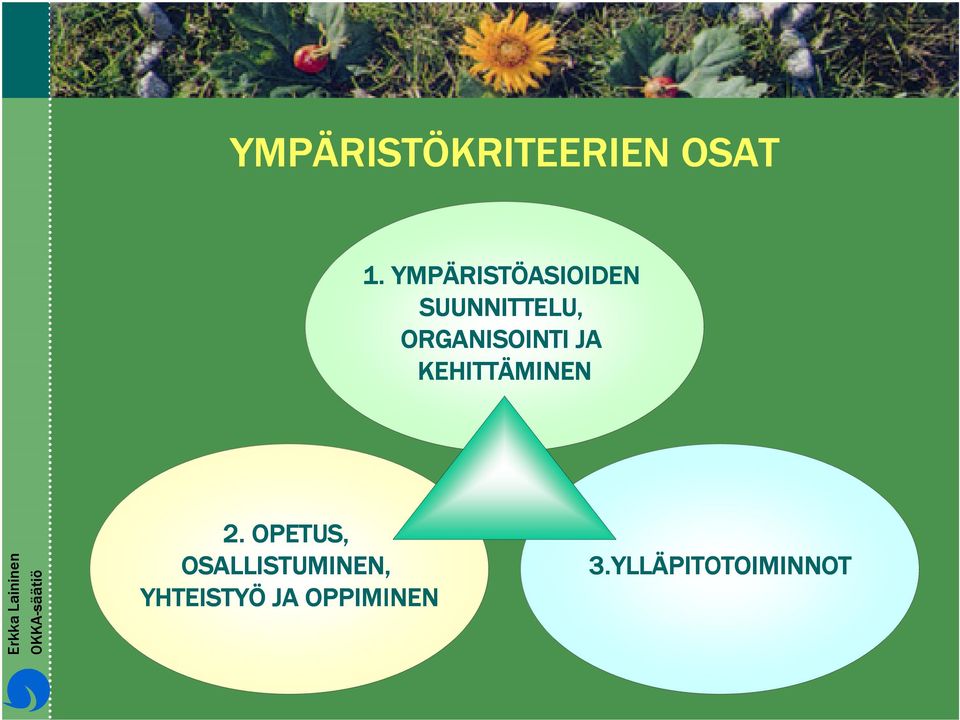 ORGANISOINTI JA KEHITTÄMINEN 2.