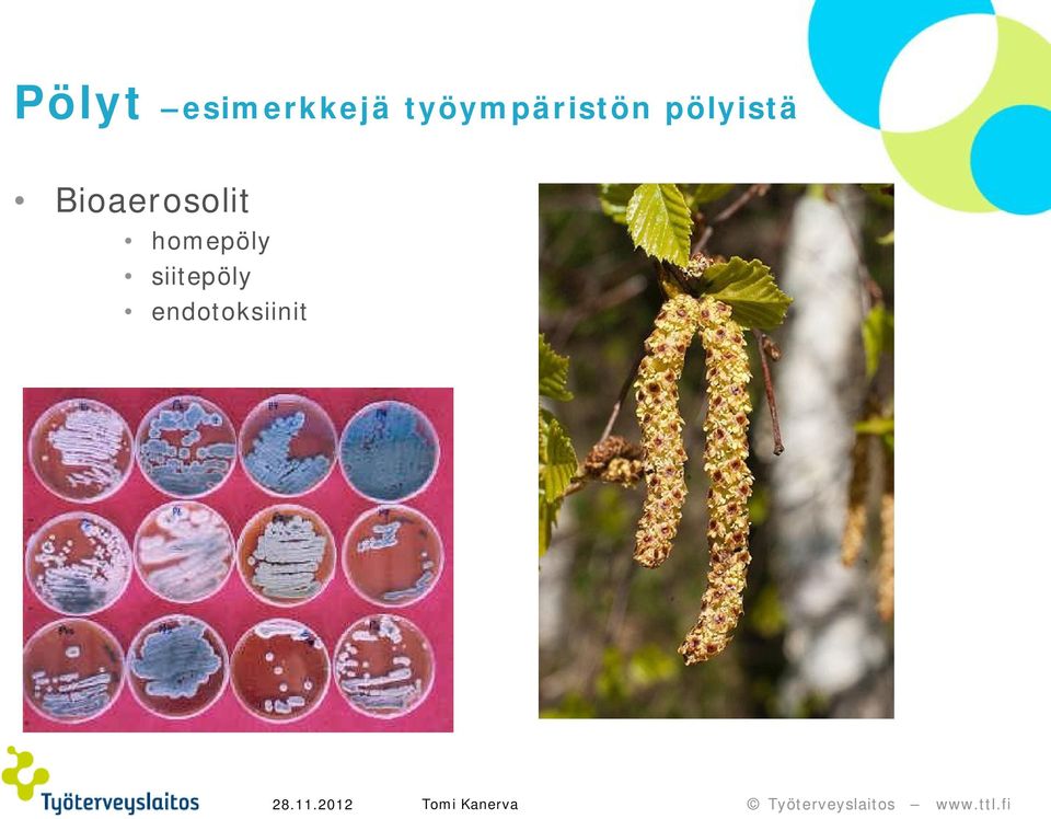 pölyistä Bioaerosolit