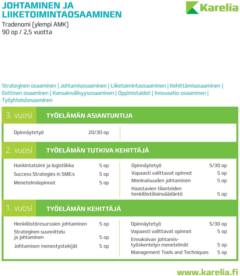 vuosi TYÖELÄMÄN TUTKIVA KEHITTÄJÄ Hankintatoimi ja logistiikka 5/30 op Success Strategies in SME:s Menetelmäopinnot Vapaasti valittavat opinnot Moninaisuuden johtaminen Haastavien