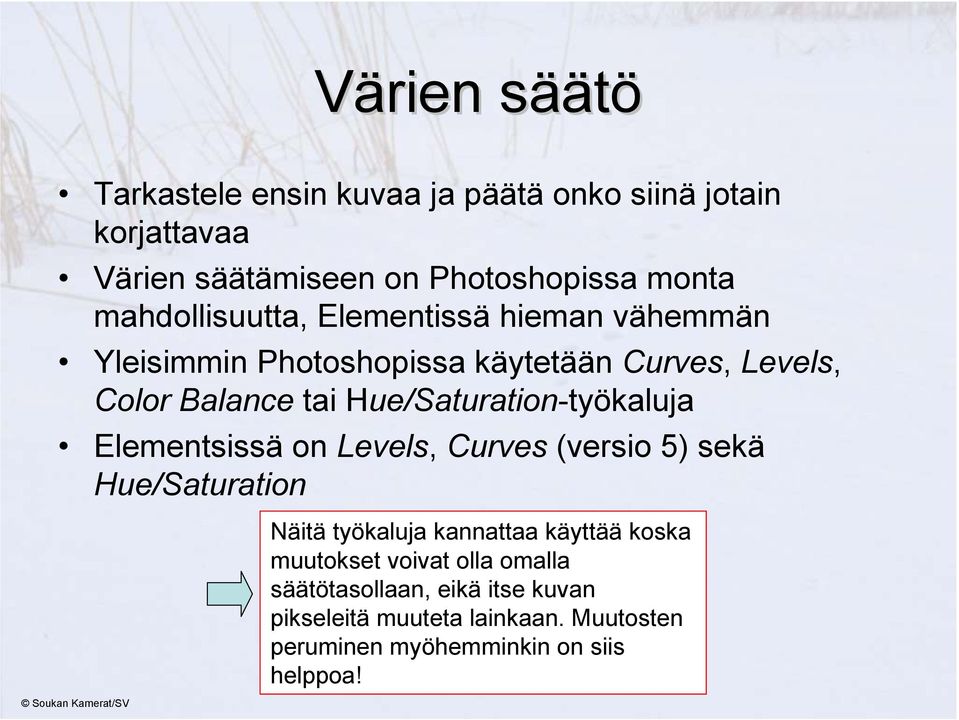 Hue/Saturation-työkaluja Elementsissä on Levels, Curves (versio 5) sekä Hue/Saturation Näitä työkaluja kannattaa käyttää