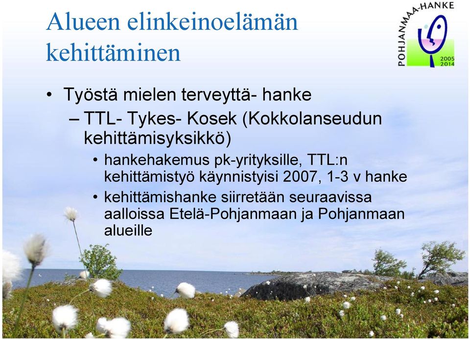 yrityksille, TTL:n kehittämistyö käynnistyisi 2007, 1 3 v hanke