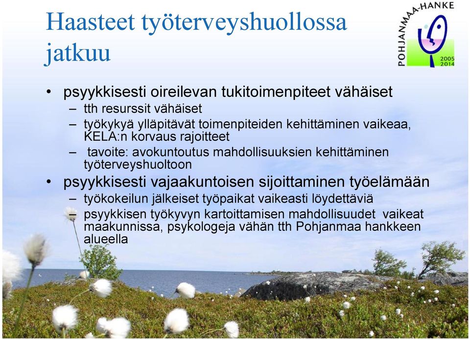 kehittäminen työterveyshuoltoon psyykkisesti vajaakuntoisen sijoittaminen työelämään työkokeilun jälkeiset työpaikat