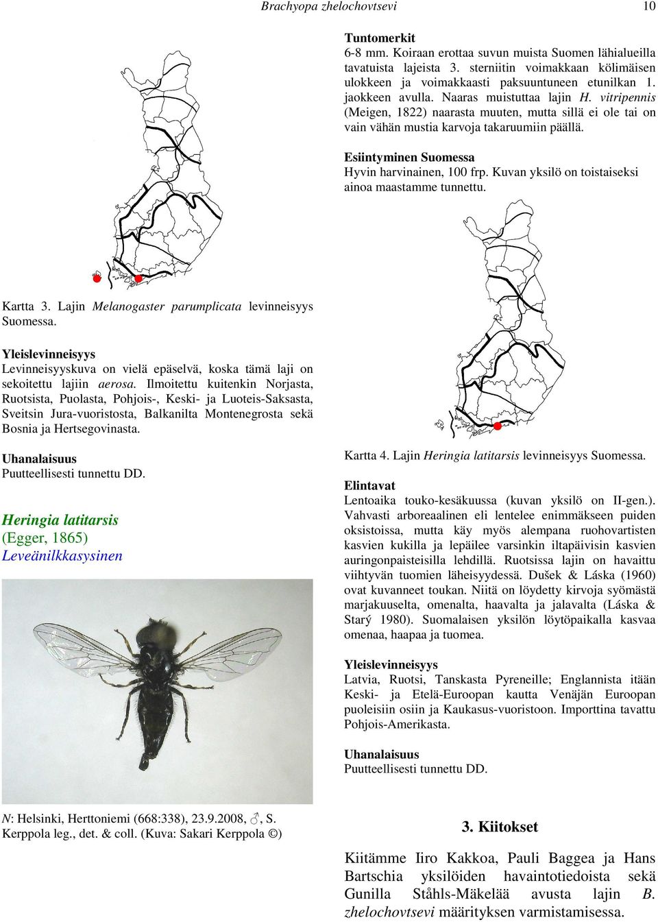 vitripennis (Meigen, 1822) naarasta muuten, mutta sillä ei ole tai on vain vähän mustia karvoja takaruumiin päällä. Esiintyminen Suomessa Hyvin harvinainen, 100 frp.