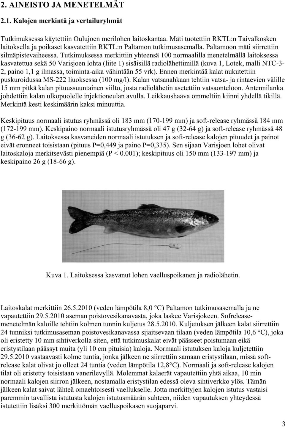 Tutkimuksessa merkittiin yhteensä 100 normaalilla menetelmällä laitoksessa kasvatettua sekä 50 Varisjoen lohta (liite 1) sisäisillä radiolähettimillä (kuva 1, Lotek, malli NTC-3-2, paino 1,1 g