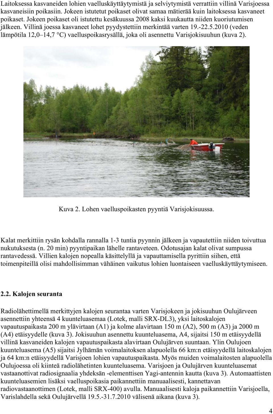 Villinä joessa kasvaneet lohet pyydystettiin merkintää varten 19.-22.5.2010 (veden lämpötila 12,0 14,7 C) vaelluspoikasrysällä, joka oli asennettu Varisjokisuuhun (kuva 2). Kuva 2.