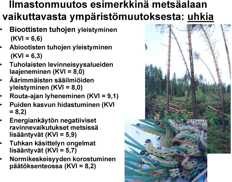 yleistyminen (KVI = 8,0) Routa-ajan lyheneminen (KVI = 9,1) Puiden kasvun hidastuminen (KVI = 8,2) Energiankäytön negatiiviset