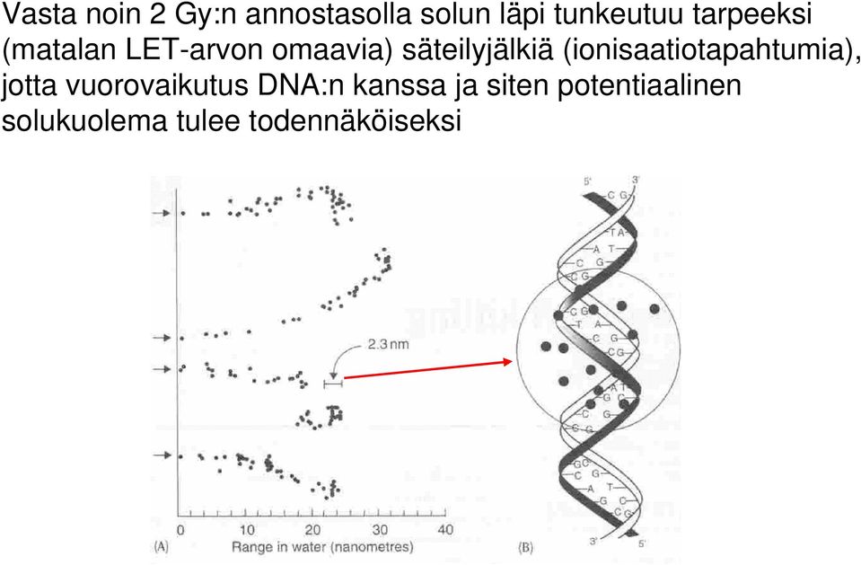 (ionisaatiotapahtumia), jotta vuorovaikutus DNA:n