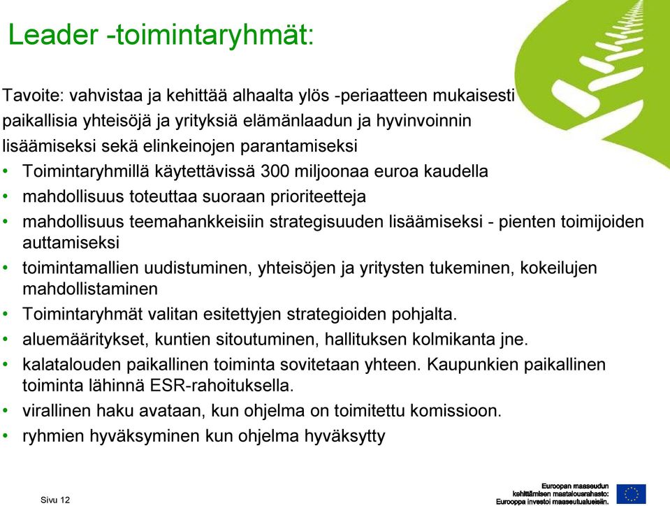 toimijoiden auttamiseksi toimintamallien uudistuminen, yhteisöjen ja yritysten tukeminen, kokeilujen mahdollistaminen Toimintaryhmät valitan esitettyjen strategioiden pohjalta.