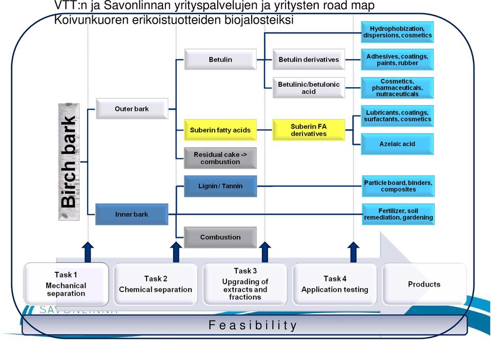 road map Koivunkuoren