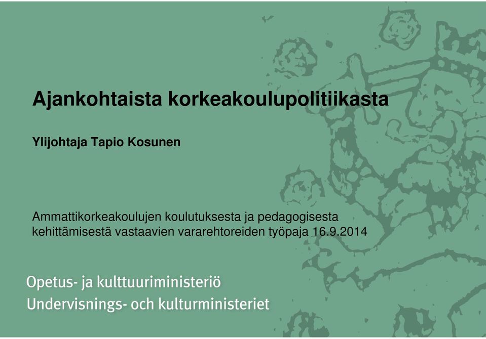 Ammattikorkeakoulujen koulutuksesta ja