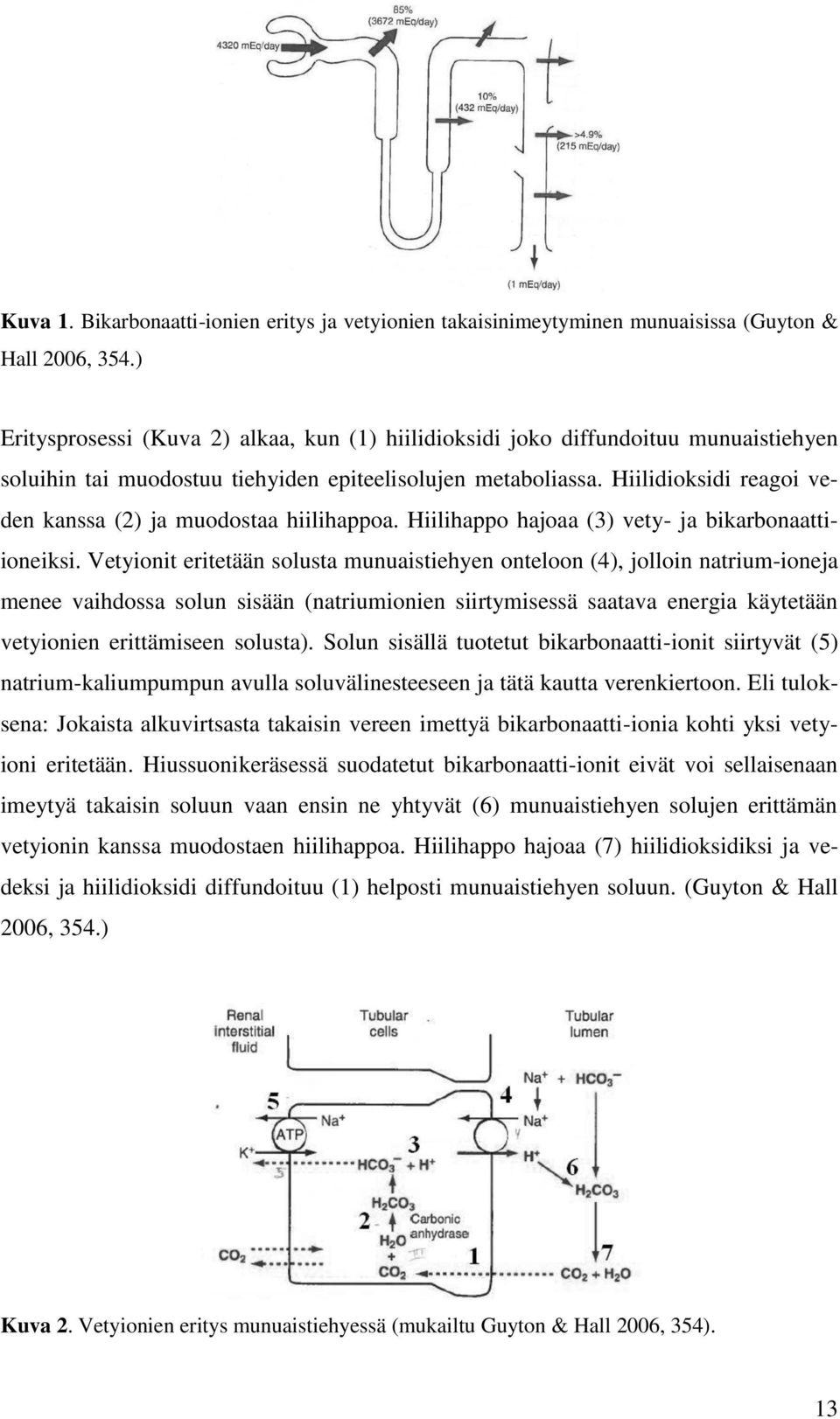 Hiilidioksidi reagoi veden kanssa (2) ja muodostaa hiilihappoa. Hiilihappo hajoaa (3) vety- ja bikarbonaattiioneiksi.