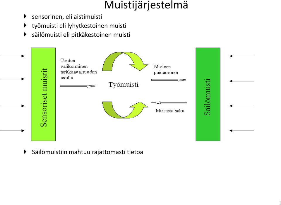 tärkein oppimisen kannalta työmuistissa pysyy Työmuistiin kerrallaan