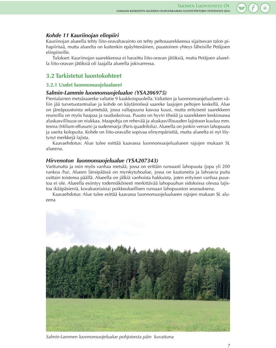 2 Tarkistetut luontokohteet 3.2.1 Uudet luonnonsuojelualueet Salmin-Lammin luonnonsuojelualue (YSA206975) Pienialainen metsäsaareke valtatie 9 kaakkoispuolella.