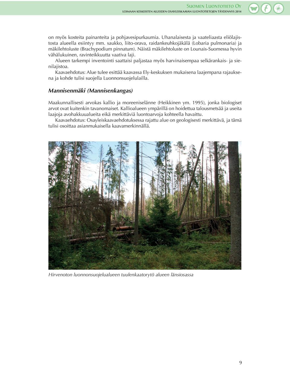 Alueen tarkempi inventointi saattaisi paljastaa myös harvinaisempaa selkärankais- ja sienilajistoa.