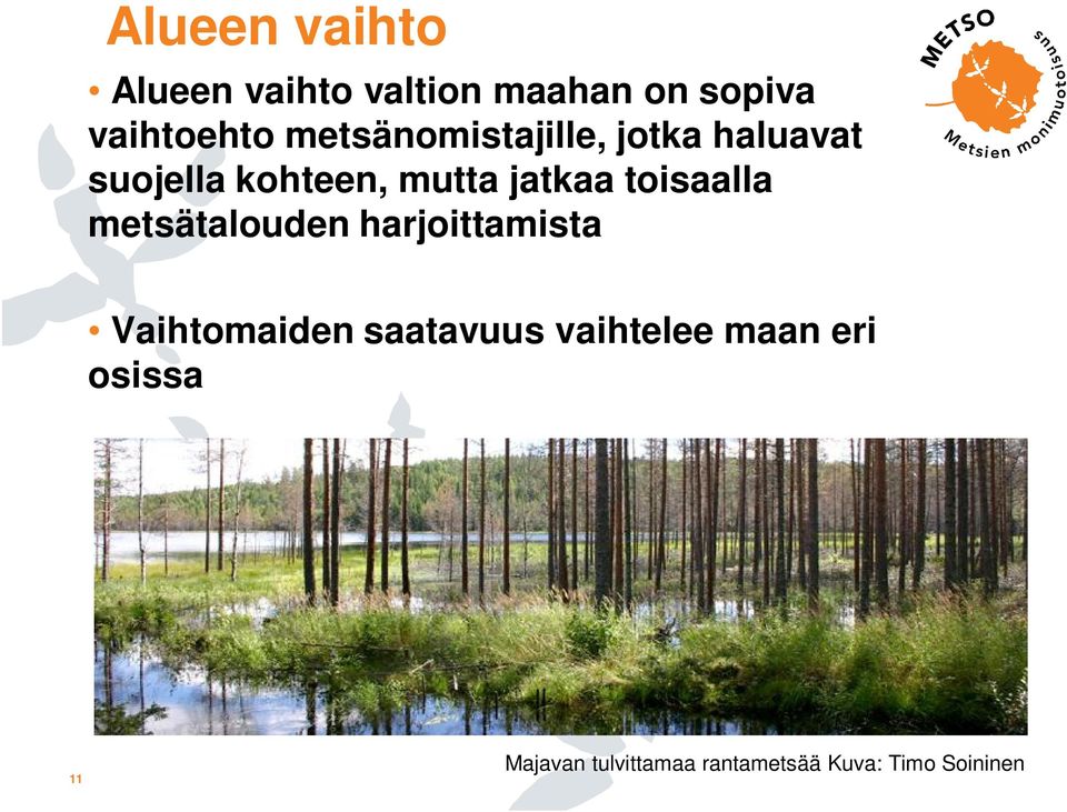 toisaalla metsätalouden harjoittamista Vaihtomaiden saatavuus