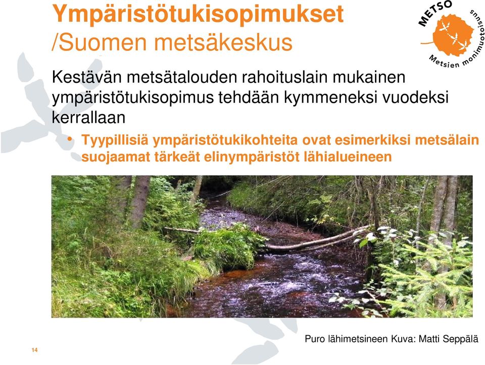 kerrallaan Tyypillisiä ympäristötukikohteita ovat esimerkiksi metsälain