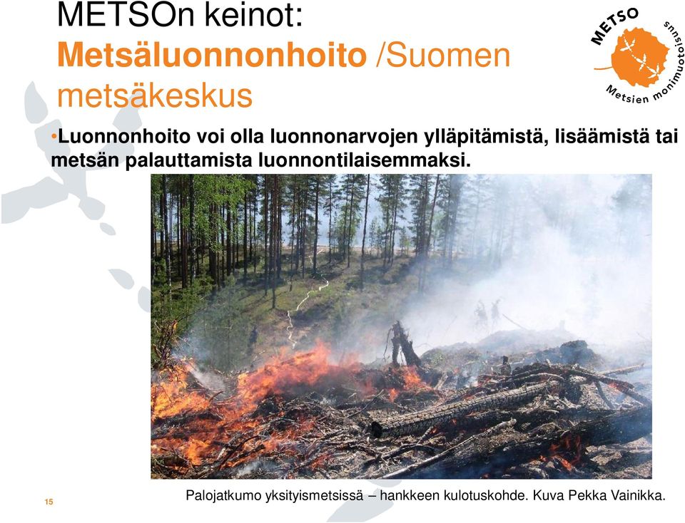 lisäämistä tai metsän palauttamista luonnontilaisemmaksi.