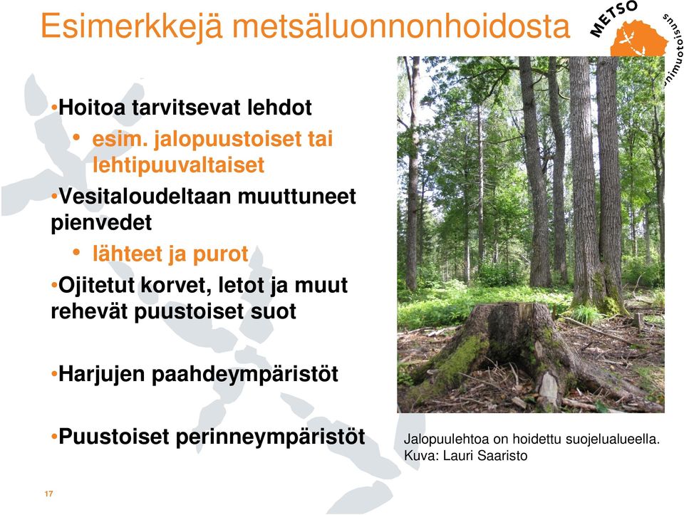 ja purot Ojitetut korvet, letot ja muut rehevät puustoiset suot Harjujen