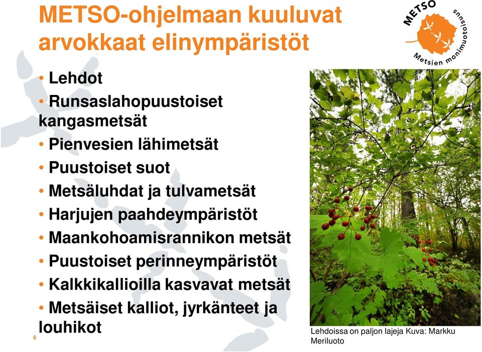 paahdeympäristöt Maankohoamisrannikon metsät Puustoiset perinneympäristöt Kalkkikallioilla