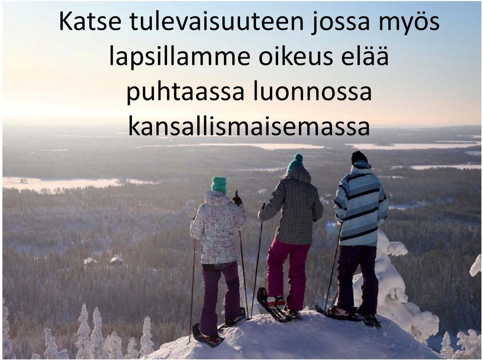 ll oikeus elää puhtaassa