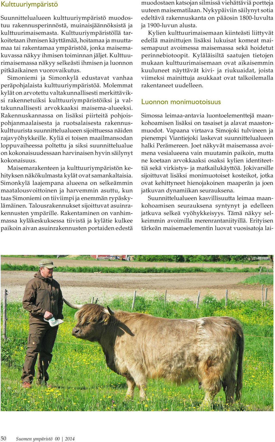 Kulttuurimaisemassa näyy seleästi ihmisen a luonnon pitäaiainen vuorovaiutus. Simoniemi a Simonylä edustavat vanhaa peräpohalaista ulttuuriympäristöä.