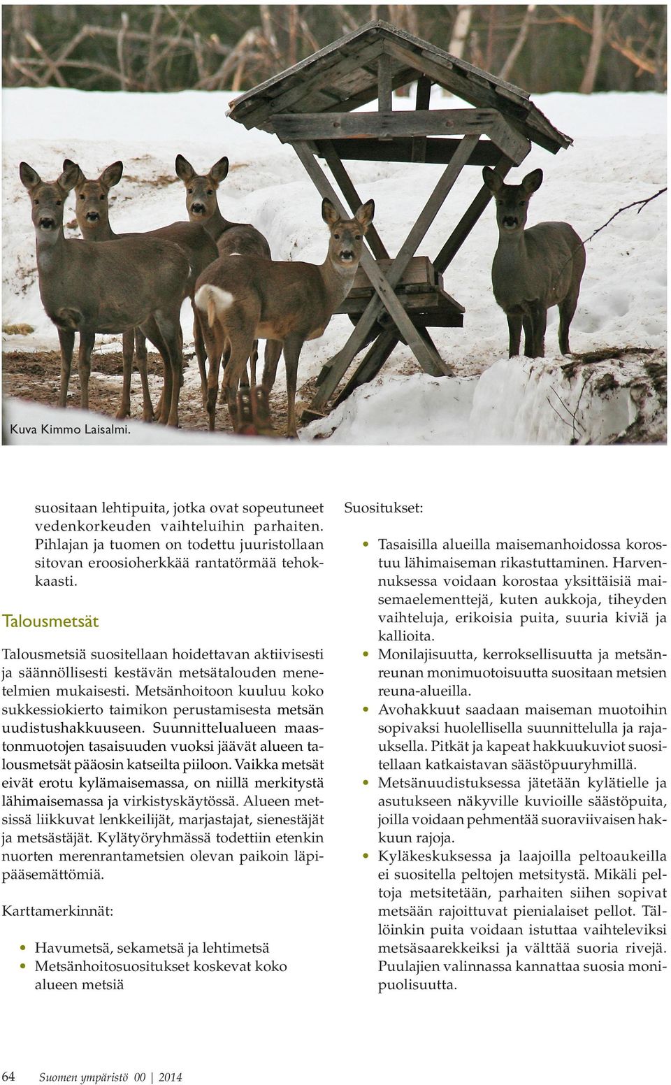 Metsänhoitoon uuluu oo suessioierto taimion perustamisesta metsän uudistushauuseen. Suunnittelualueen maastonmuotoen tasaisuuden vuosi äävät alueen talousmetsät pääosin atseilta piiloon.