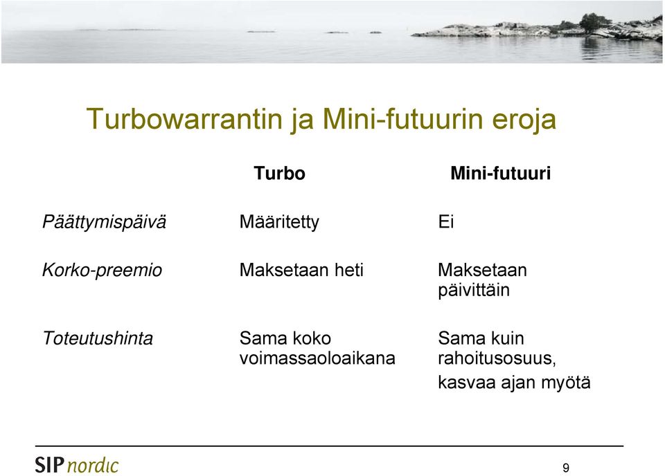 Maksetaan heti Maksetaan päivittäin Toteutushinta Sama