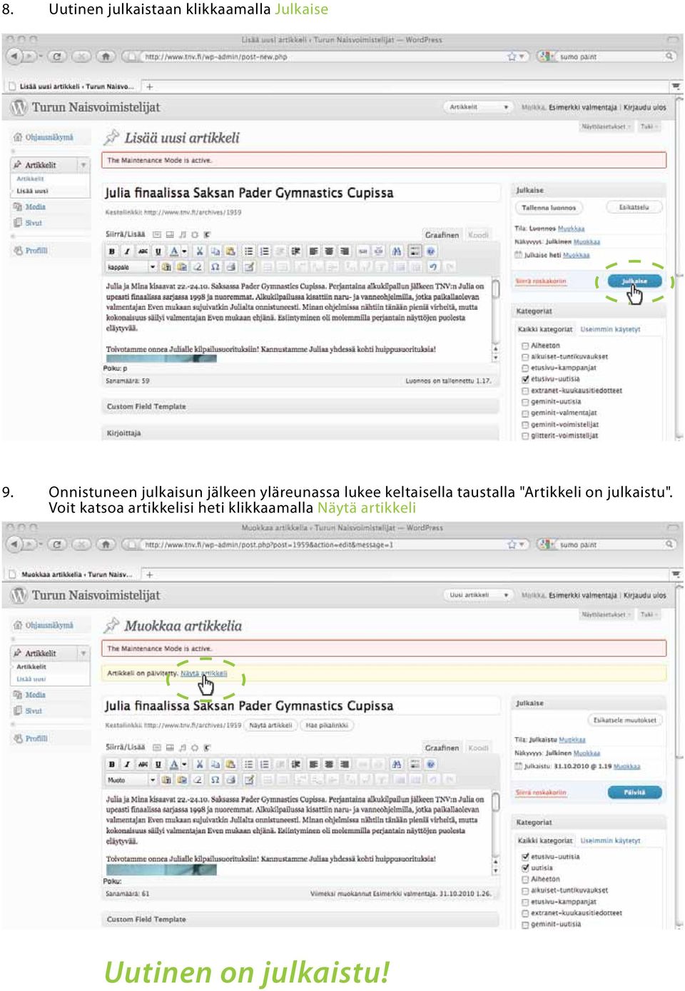 keltaisella taustalla "Artikkeli on julkaistu".