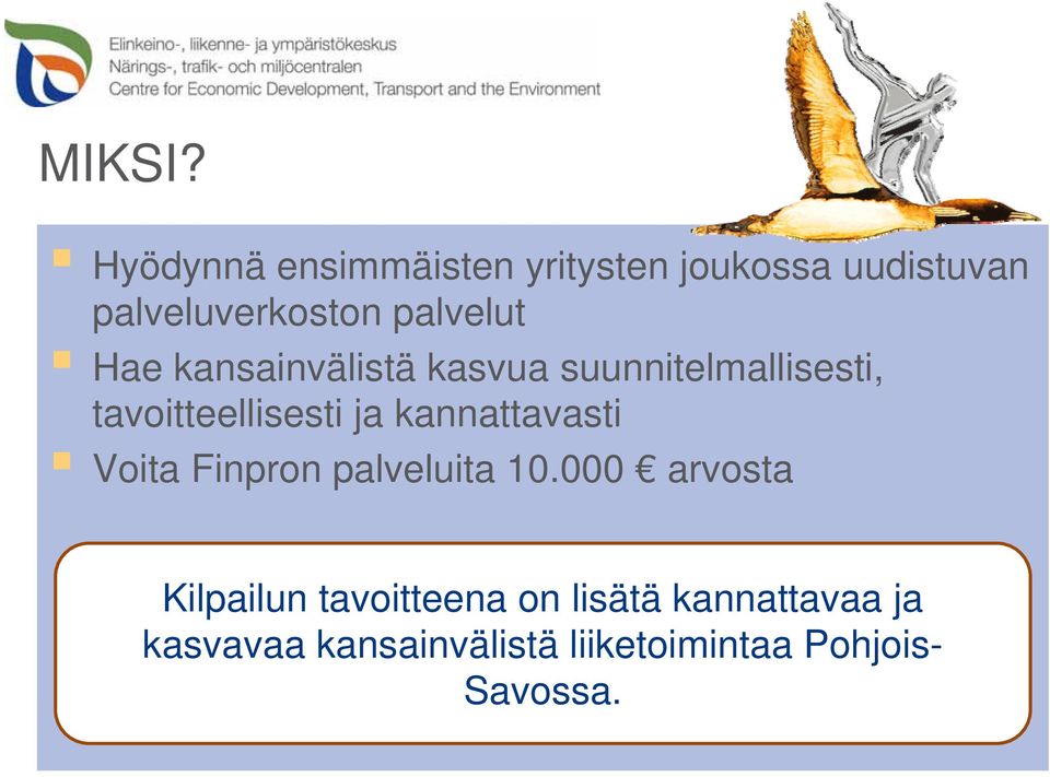 Hae kansainvälistä kasvua suunnitelmallisesti, tavoitteellisesti ja