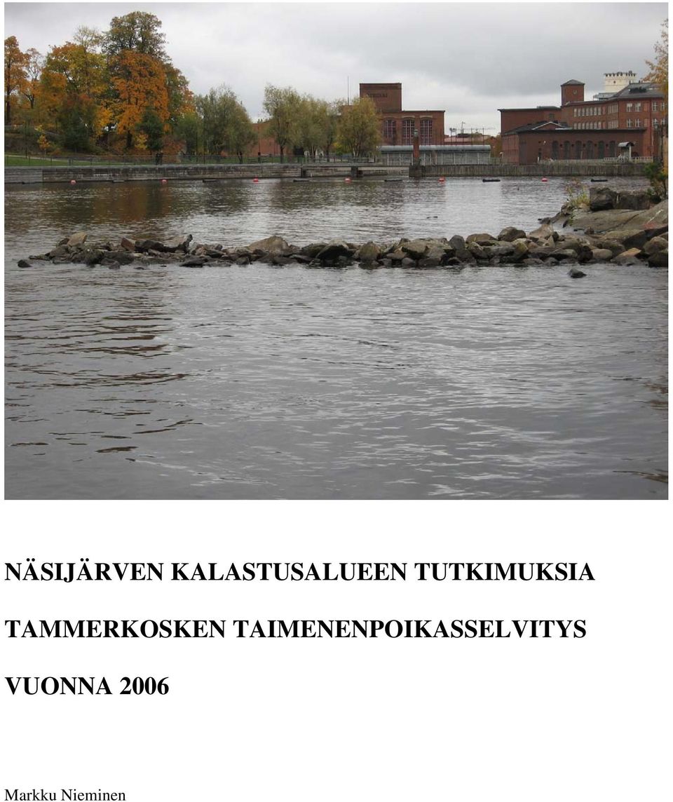 TAIMENENPOIKASSELVITYS