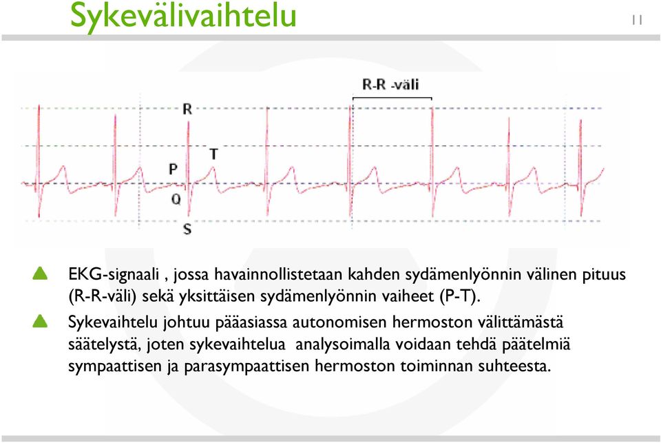 Sykevaihtelu johtuu pääasiassa autonomisen hermoston välittämästä säätelystä, joten