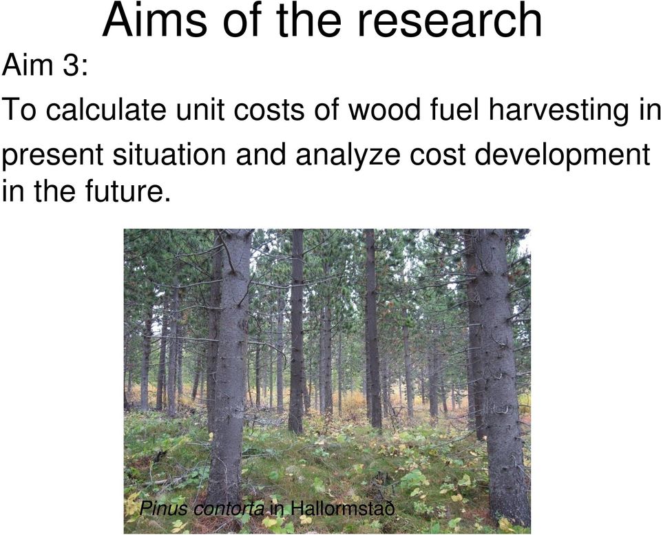 present situation and analyze cost