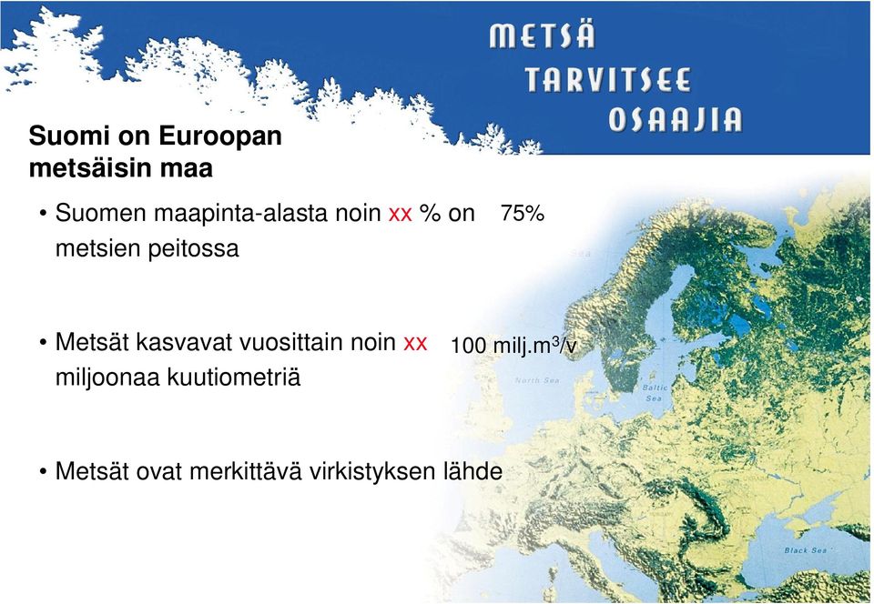 Metsät kasvavat vuosittain noin xx miljoonaa