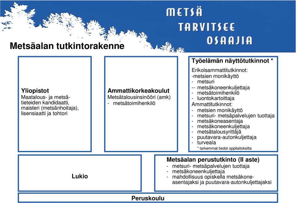 metsien monikäyttö - metsuri- metsäpalvelujen tuottaja - metsäkoneasentaja - metsäkoneenkuljettaja - metsätalousyrittäjä - puutavara-autonkuljettaja - turveala * tarkemmat tiedot