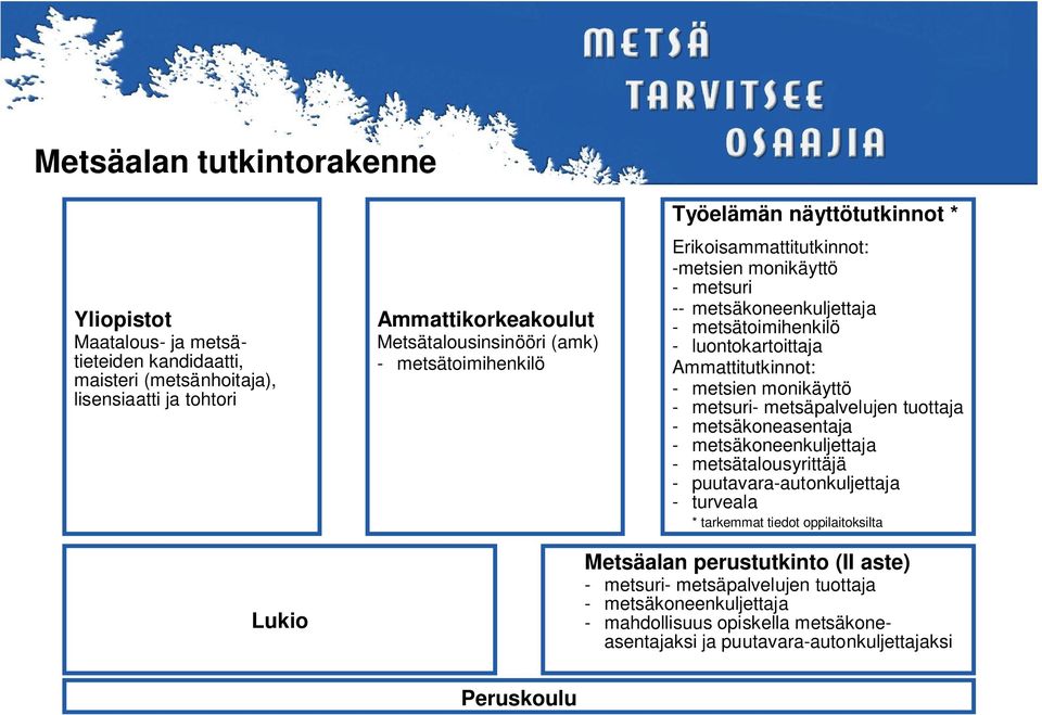 metsien monikäyttö - metsuri- metsäpalvelujen tuottaja - metsäkoneasentaja - metsäkoneenkuljettaja - metsätalousyrittäjä - puutavara-autonkuljettaja - turveala * tarkemmat tiedot