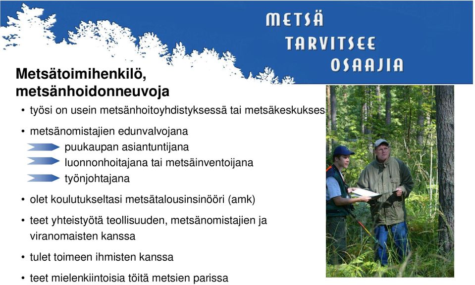 työnjohtajana olet koulutukseltasi metsätalousinsinööri (amk) teet yhteistyötä teollisuuden,