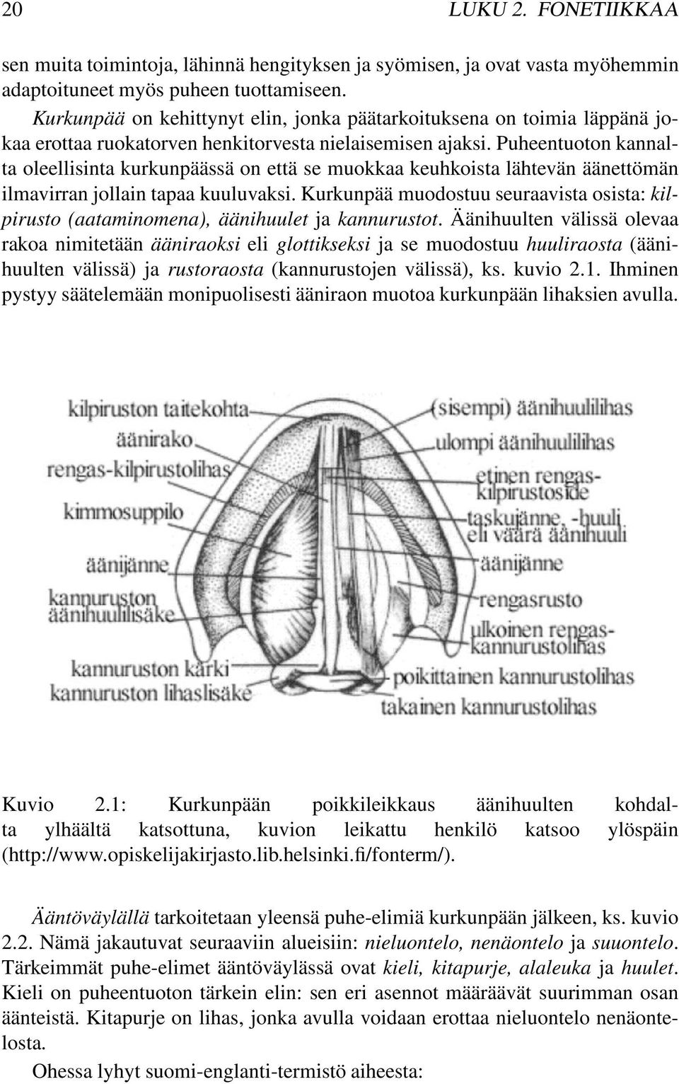 Puheentuoton kannalta oleellisinta kurkunpäässä on että se muokkaa keuhkoista lähtevän äänettömän ilmavirran jollain tapaa kuuluvaksi.