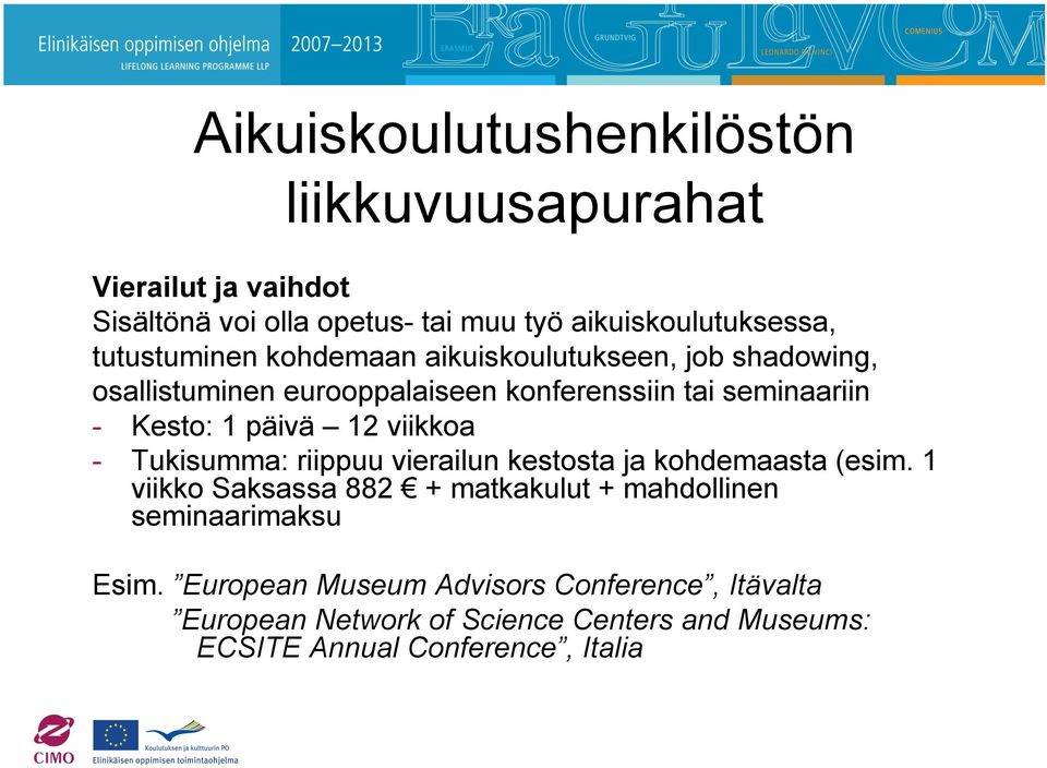 päivä 12 viikkoa - Tukisumma: riippuu vierailun kestosta ja kohdemaasta (esim.