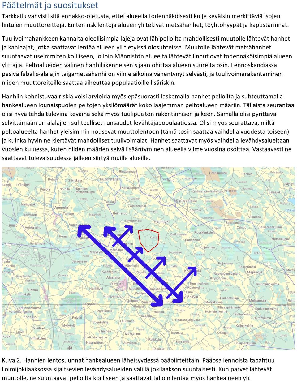 Tuulivoimahankkeen kannalta oleellisimpia lajeja ovat lähipelloilta mahdollisesti muutolle lähtevät hanhet ja kahlaajat, jotka saattavat lentää alueen yli tietyissä olosuhteissa.