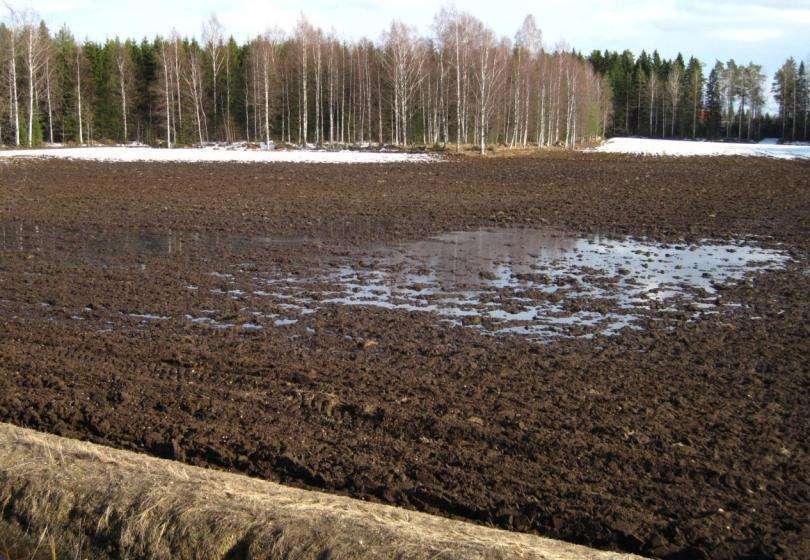 Karkea hieta 2/2 - Läpäisevyys Vesi seisoo pellolla keväällä -Entä kesällä?