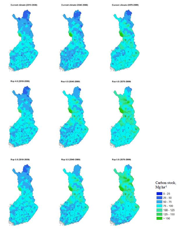 Metsien hiilivarastot nyky- ja muuttuvassa ilmastossa (SIMA-mallilaskelmat VMI 10. kivennäismaakoealoilla; Tapion 2014 metsänhoitosuositukset) Nykyilmasto RCP4.5: keskivoimakas RCP8.