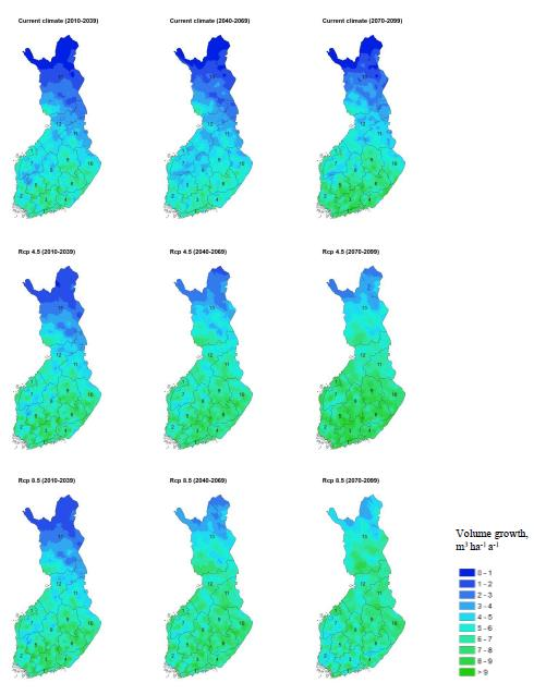 Metsien tilavuuskasvu nyky- ja muuttuvassa ilmastossa (SIMA-mallilaskelmat VMI 10. kivennäismaakoealoilla; Tapion 2014 metsänhoitosuositukset) Nykyilmasto RCP4.5: keskivoimakas RCP8.