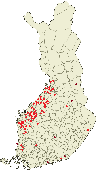 Tilusjärjestelyjen lukumäärä 2015 Tarveselvitykset (selvitys kannattavuudesta ja kannatuksesta) 65 000 ha 42 kpl Tuotanto (toteutuksessa