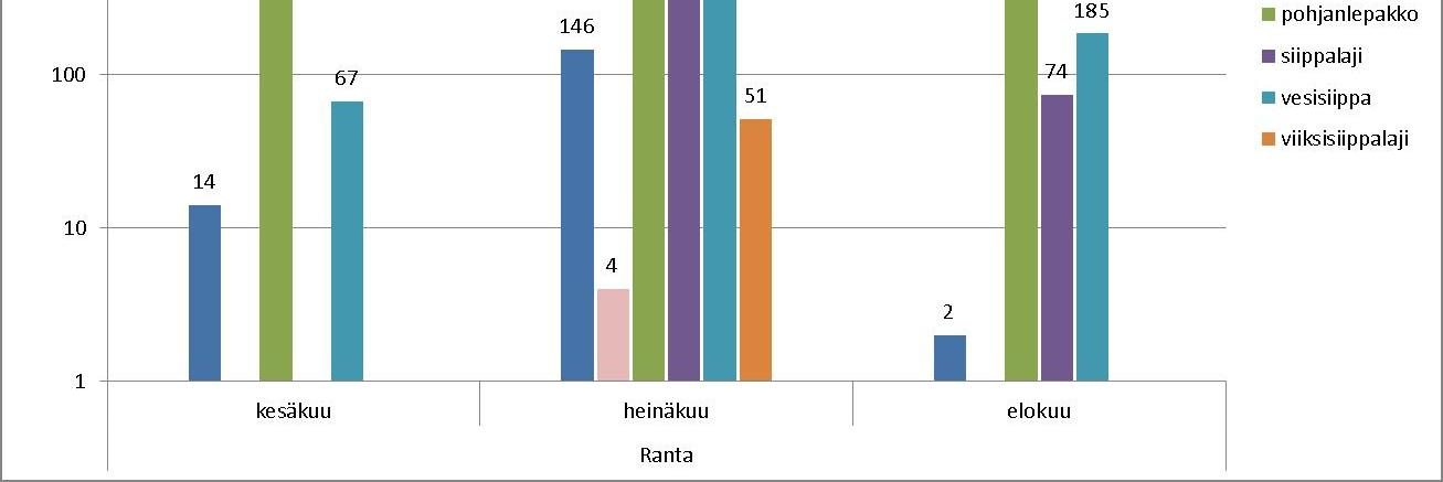 8 5. LEPAKKOKARTOITUKSEN TULOKSET 5.1 Passiivikartoitus 5.1.1 Ranta Yleisimmäksi lajiksi sillan alla osoittautui pohjanlepakko, josta tehtiin noin kolmen kuukauden havainnointijakson aikana yli 13 000 havaintoa.