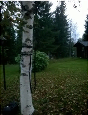 1/2 Terrafame Oy LIITE 2 Projekti 1510016678-019 14.1.16 Ympäristömelun pitkäaikaismittaus Ajankohta: Mittausjakson pituus: Mitattava kohde: Mittauspaikka: Etäisyys kohteeseen: Valokuva mittauspaikalta: 17.