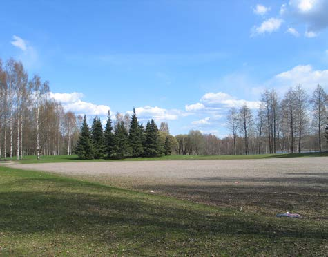 Vaakonpuisto Vaakonpuisto Tesomajärvenkoulu läntinen kenttä Nokiantie - Vaakonkatu, 33270 Tampere Epilä YO määrittelemätön Viheraluetyyppi - tyydyttävä 2 -alue kenttä = 3278 m 2 Pensaskasvillisuus