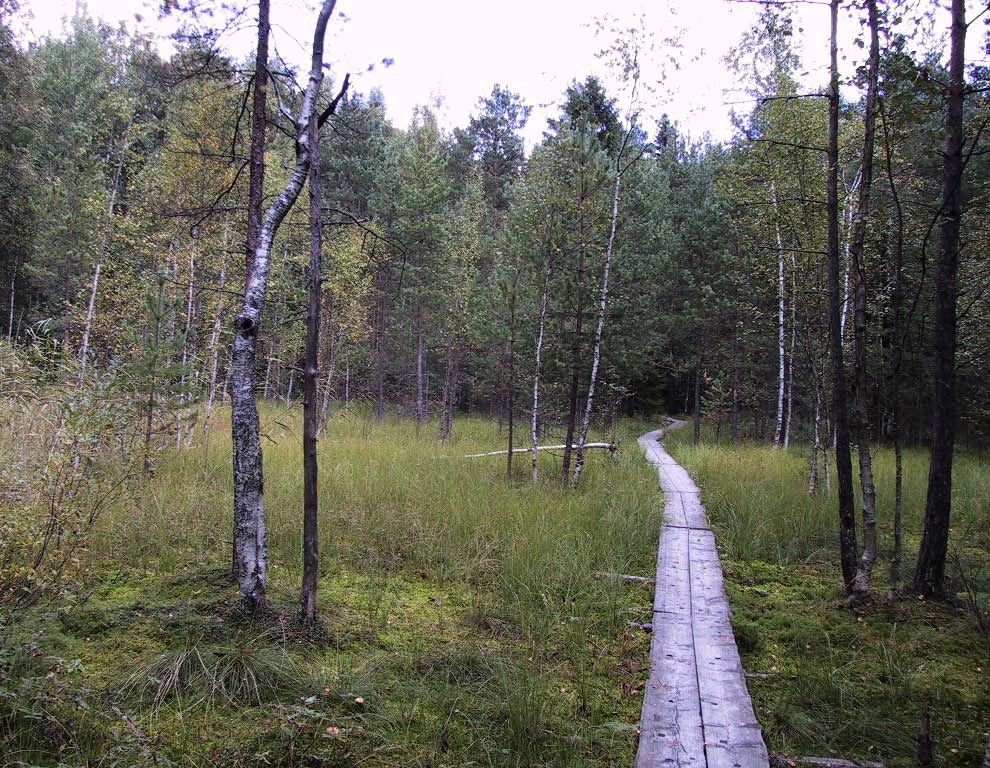 KAARELAN ALUESUUNNITELMA Osa-alue