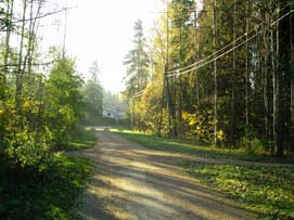 Kadun nimi: Katutyyppi: Maankäyttö: Estetie tonttikatu pientaloalue Kaupunkikuvallinen luonne Vehreällä omakotitaloalueella oleva katu rajautuu tonttikasvillisuuteen ja metsään.