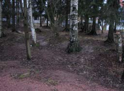puistorek.nro 37040 nimi: pinta-ala: 7353 m 2 Leilipuisto hoitoluokka: C2 20-6 Leilipuisto Viheralueen merkitys Juuri rakennettu kohde. Ei inventoitu tarkemmin.