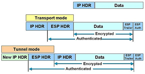 7 KUVA 3. Normaali IP-paketti ja AH kuljetus- ja tunnelointitilassa [11] Kuljetustilassa ESP salaa hyötydatan eikä muuta alkuperäisiä otsikkotietoja. ESP-otsikko sijaitsee IP-otsikon jälkeen.